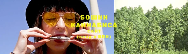 молекула духа Переславль-Залесский